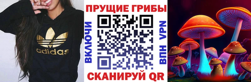 Псилоцибиновые грибы прущие грибы  Усть-Лабинск 